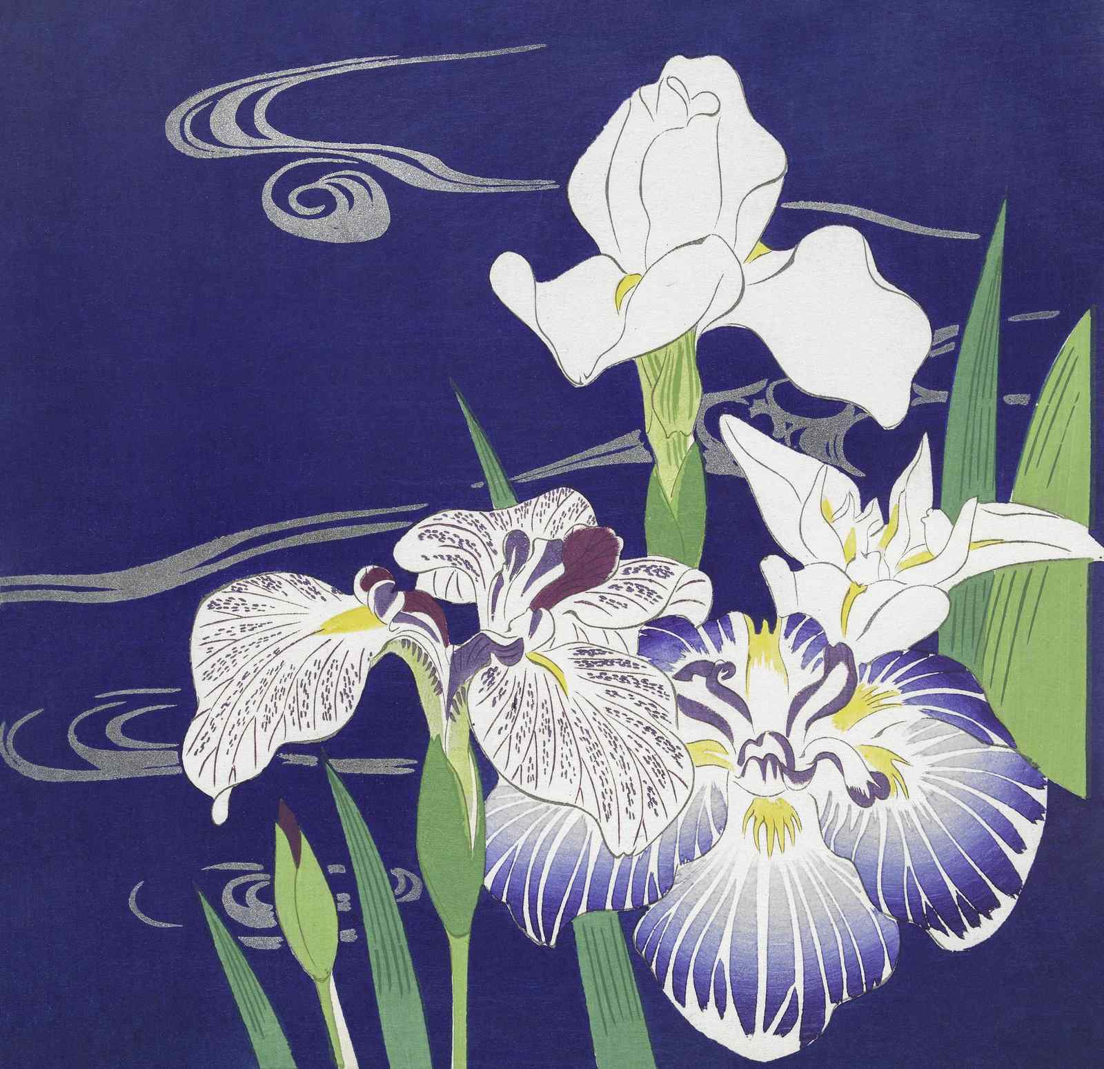 Serene Iris Garden Wall Art