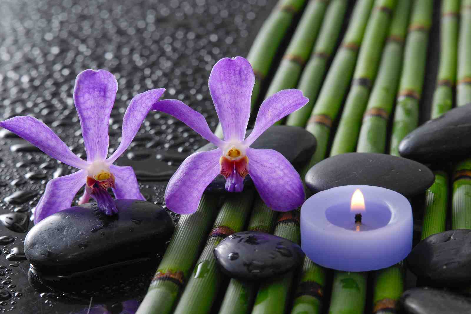 Serene Purple Orchid & Bamboo Wall Art