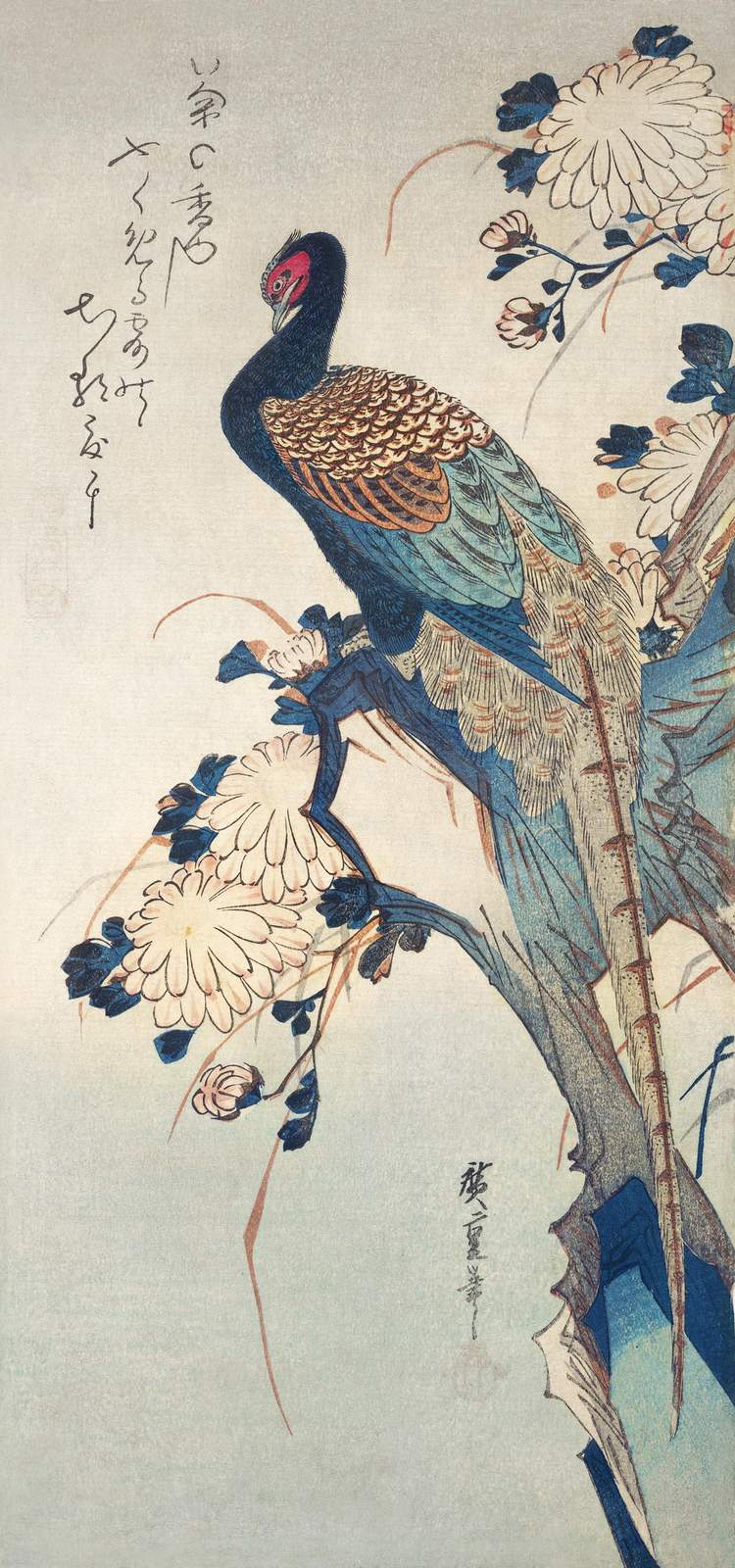 Elegant Pheasant & Chrysanthemum Japanese Art Wall Art