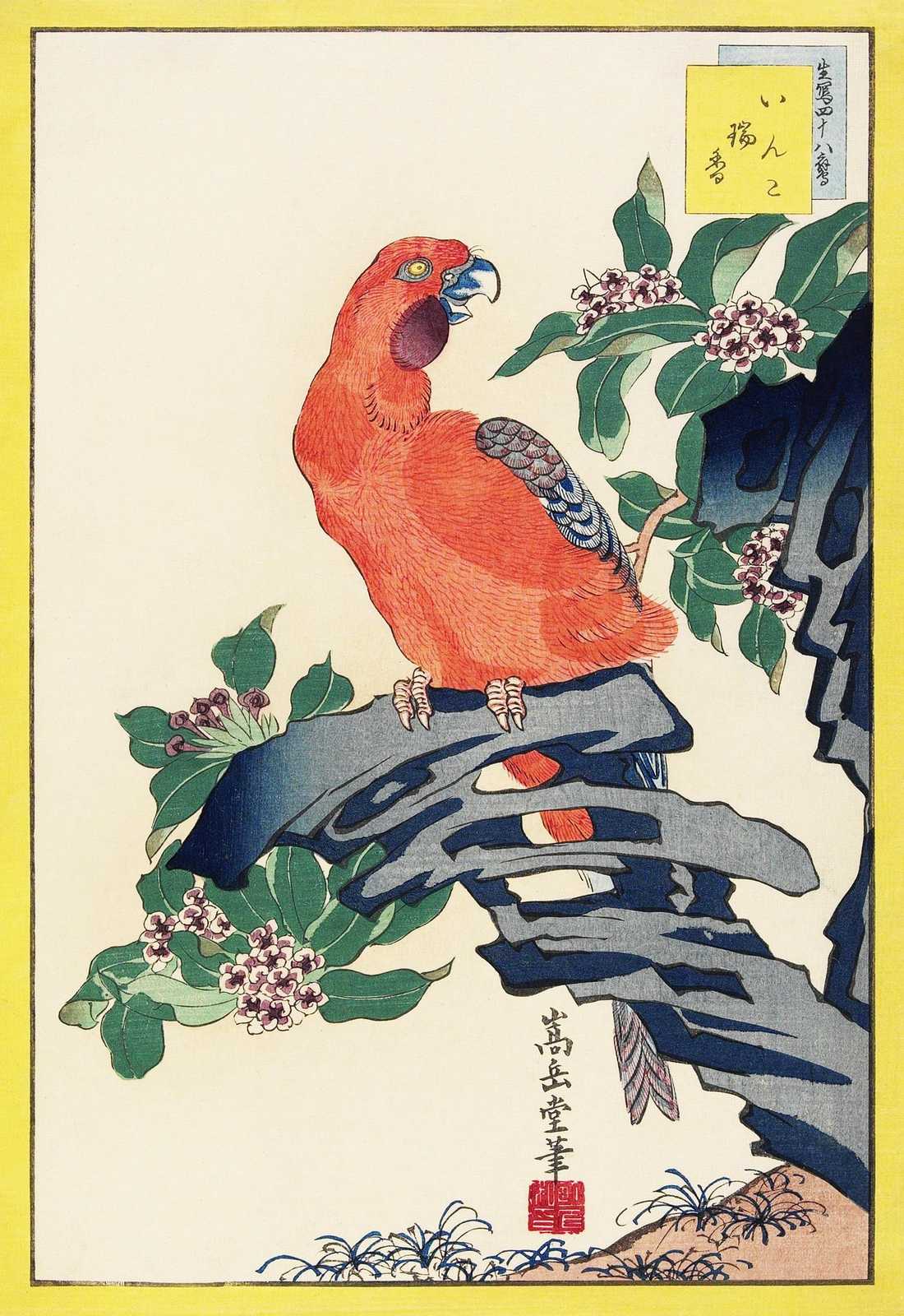 Vibrant Parrot Perched: Japanese Art Wall Art