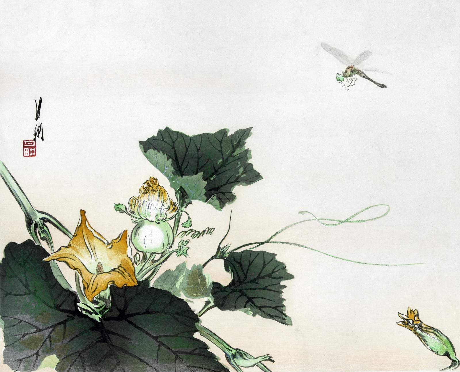 Oriental Dragonfly & Squash Blossom Wall Art