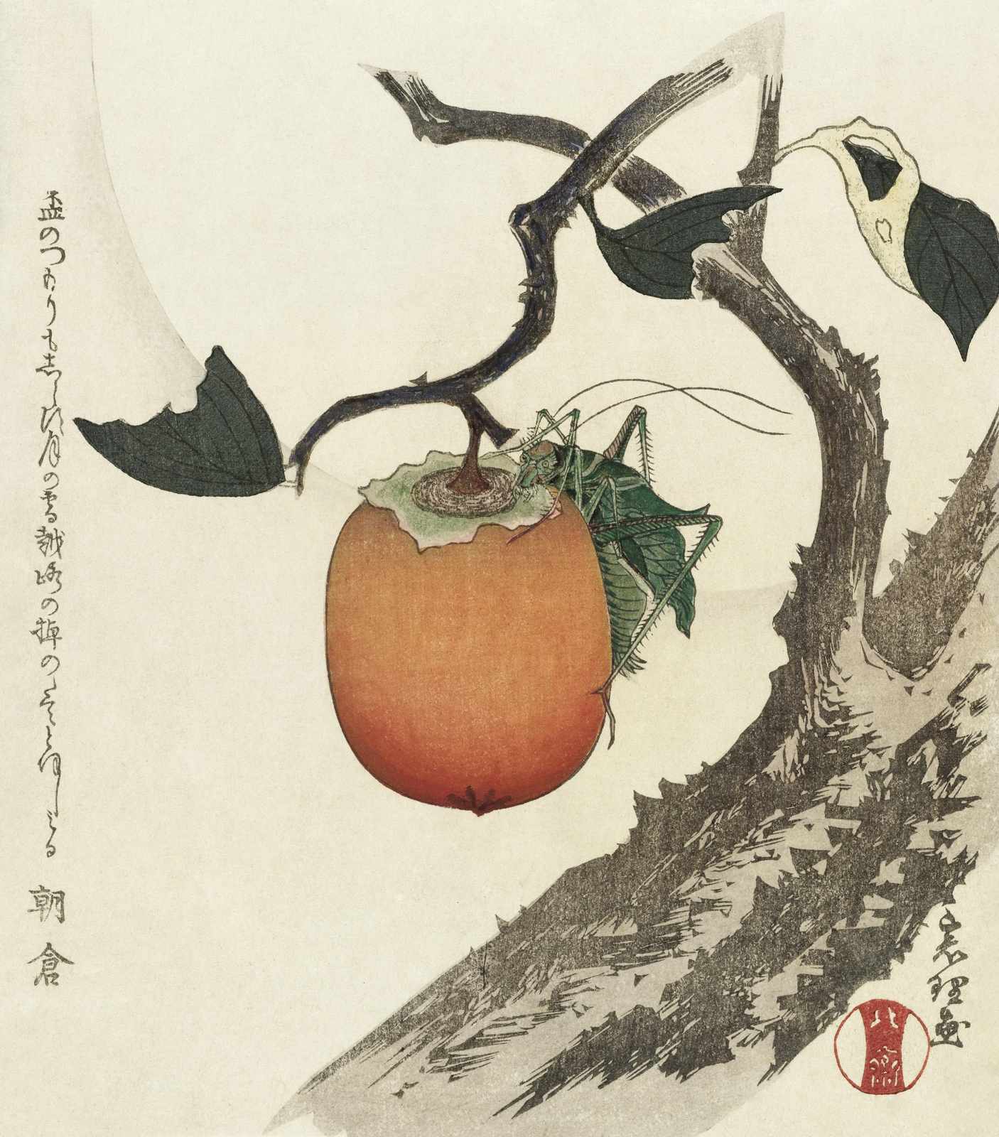 Japanese Grasshopper & Persimmon Wall Art