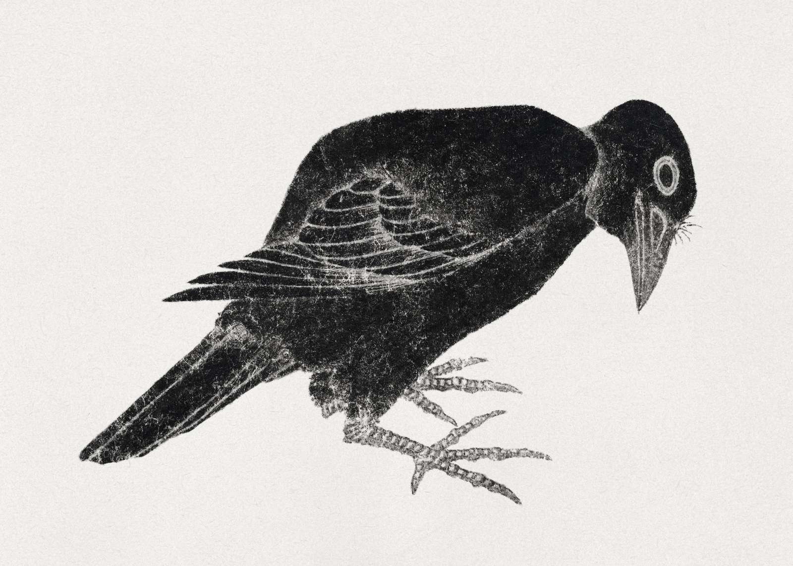 Gothic Crow Bird Art Wall Art