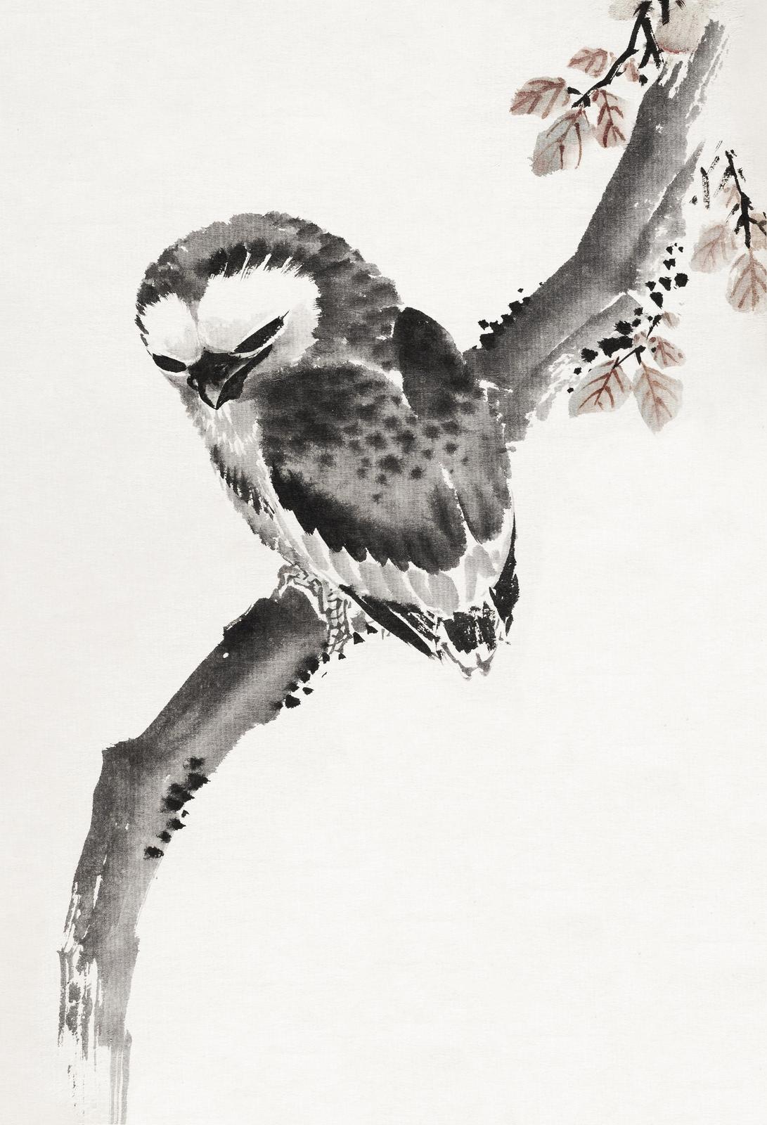 Serene Owl on Branch Wall Art