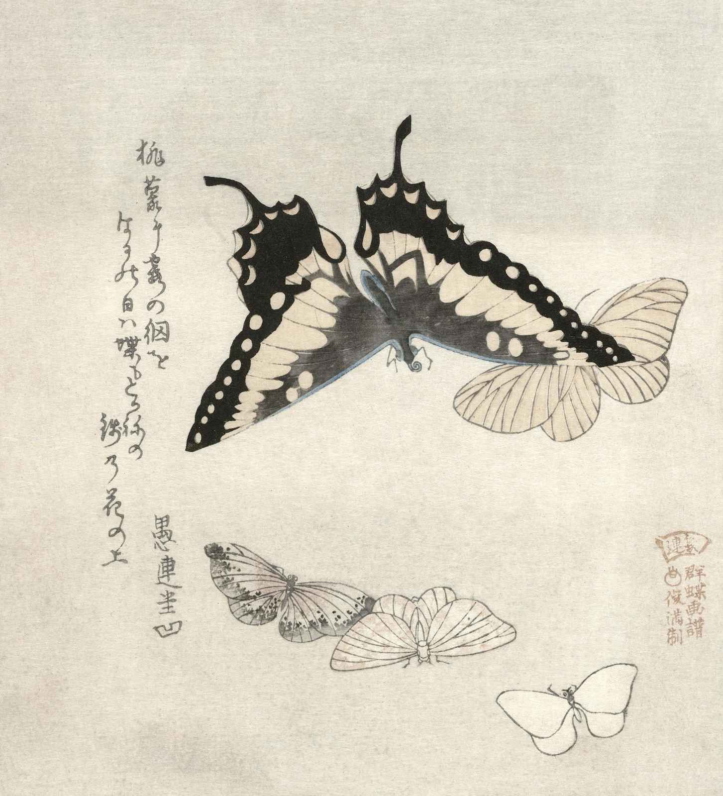 Elegant Butterfly Studies Japanese Art Wall Art