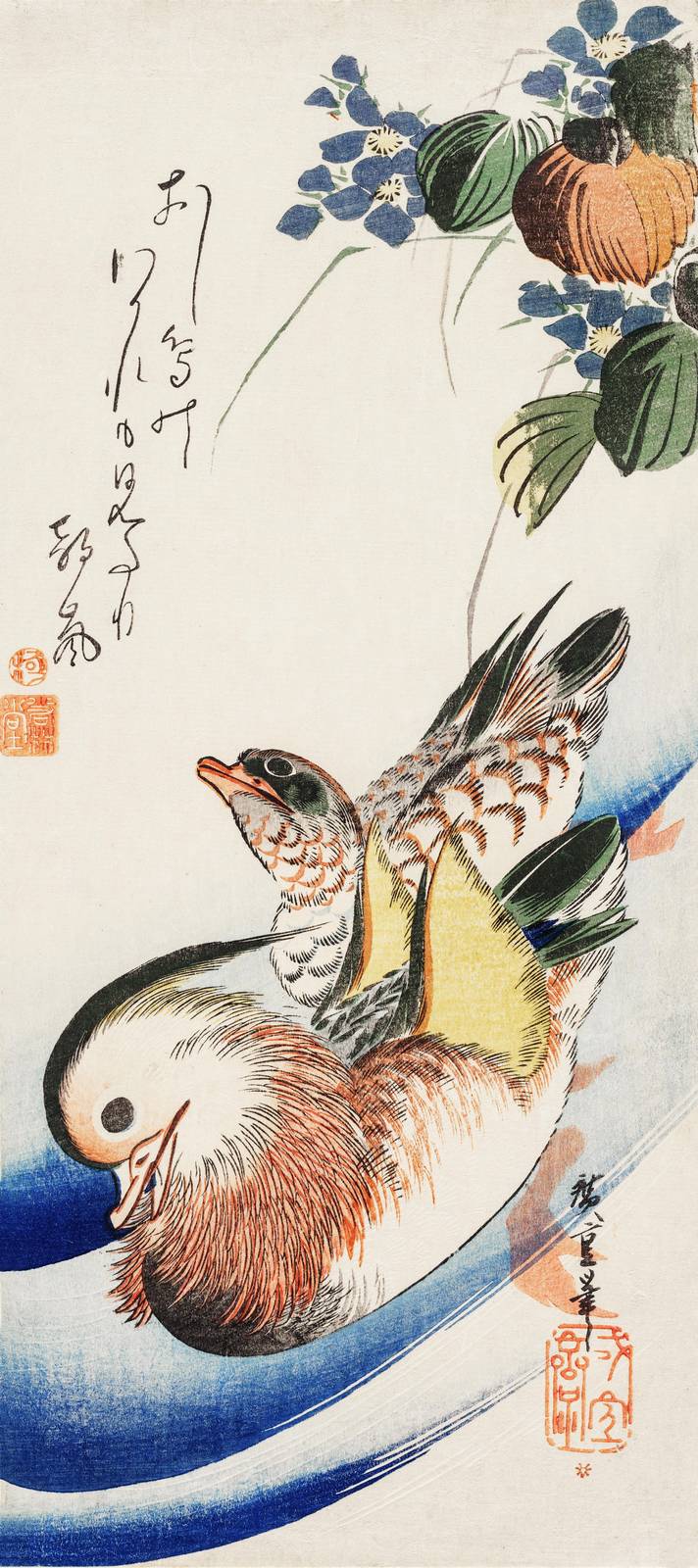 Mandarin Ducks Zen Art Wall Art