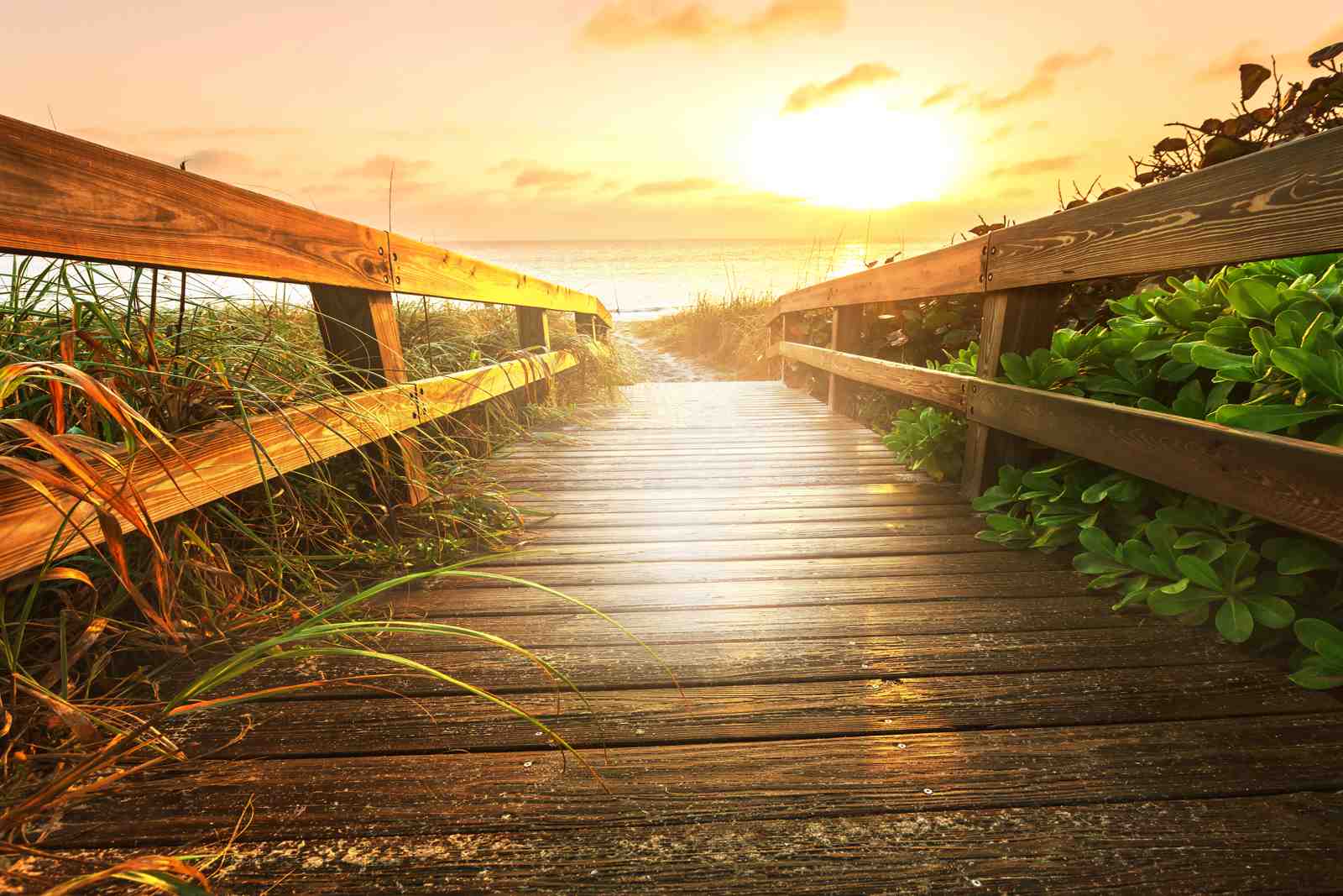 Golden Hour Beach Boardwalk Wall Art
