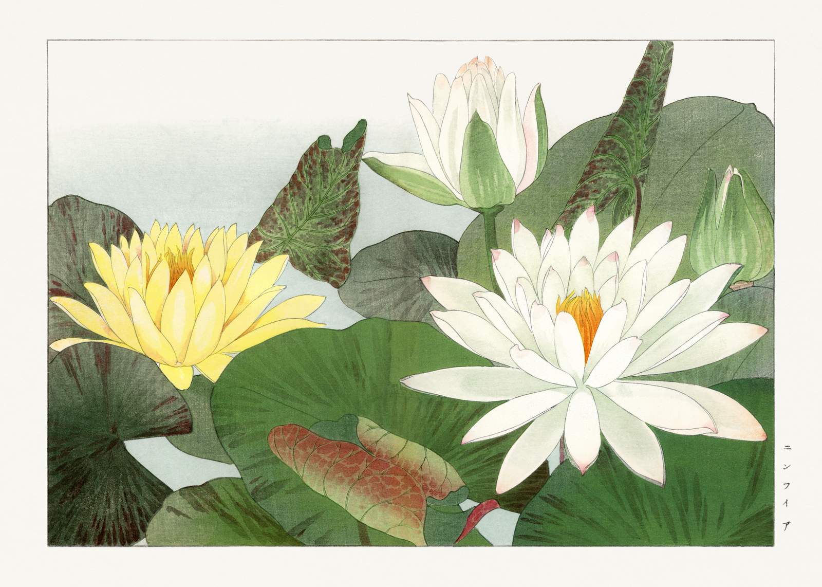 Serene Water Lily Garden Wall Art