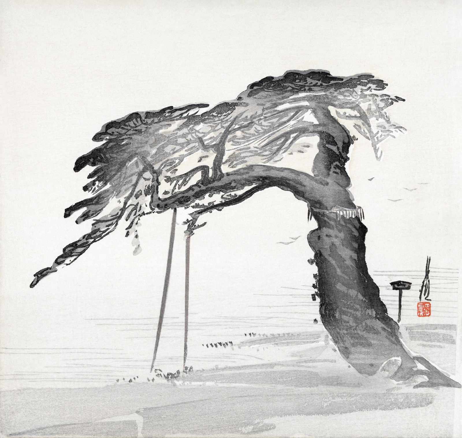 Serene Windswept Pine Wall Art