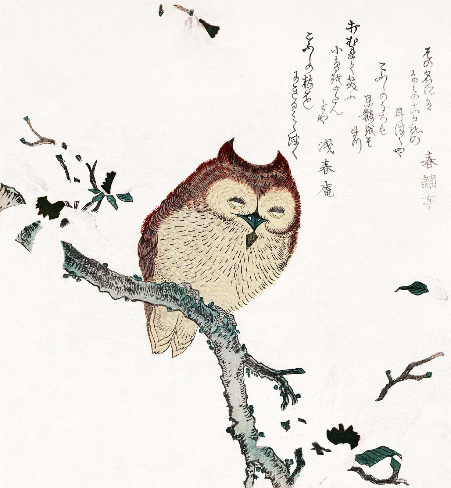 Serene Owl Zen Garden Wall Art