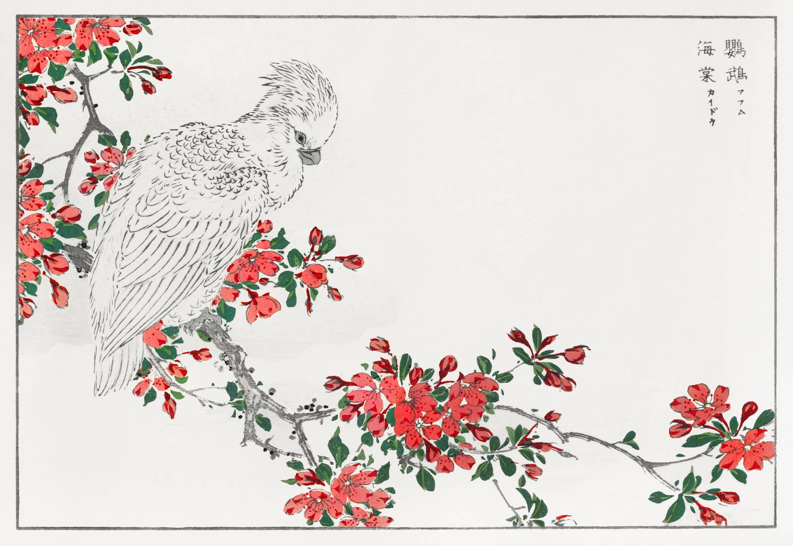Elegant Cockatoo & Cherry Blossom Wall Art