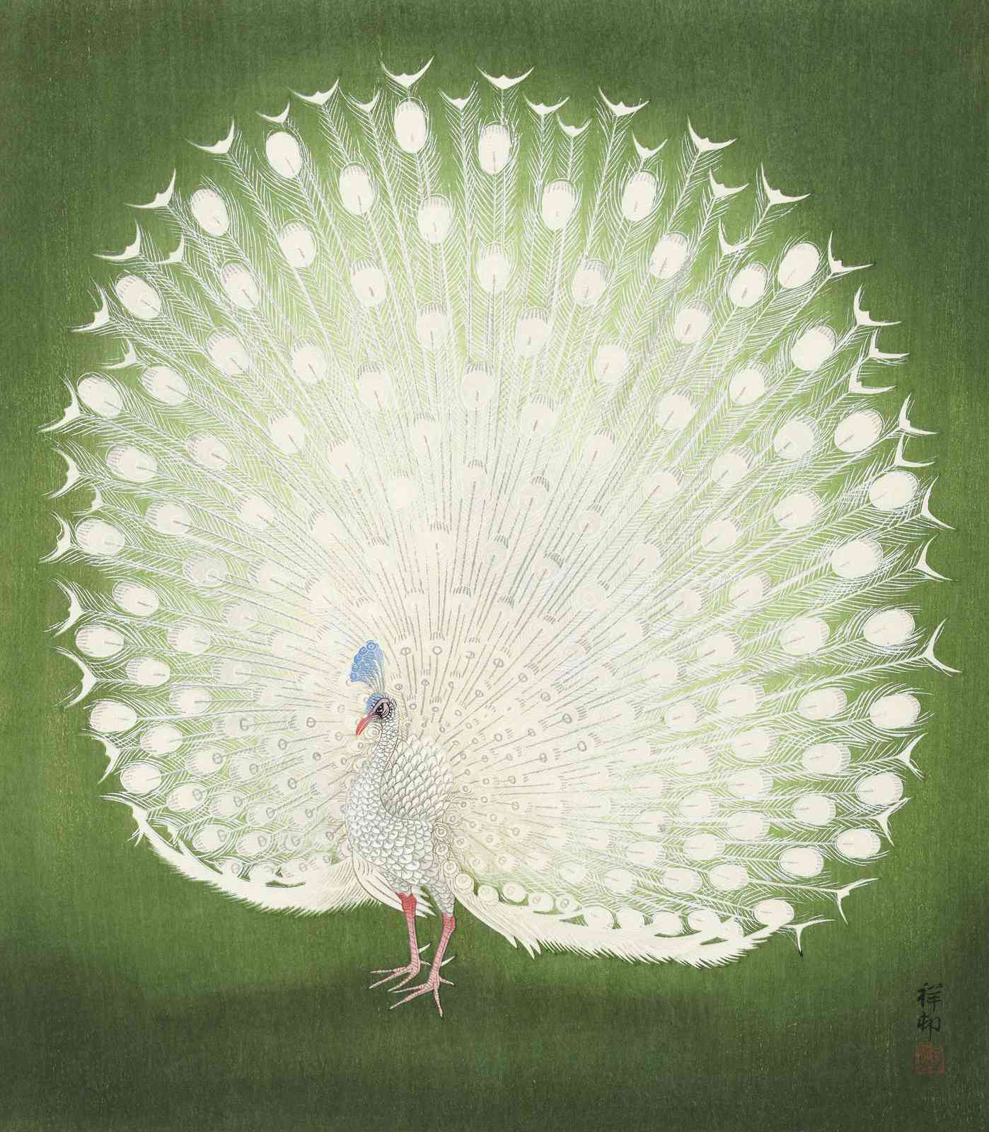 Elegant White Peacock Zen Garden Wall Art