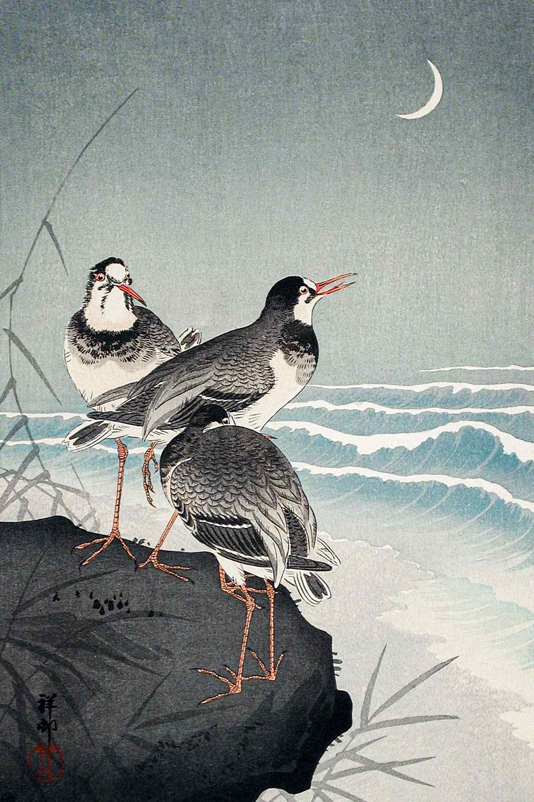 Tranquil Birds by the Sea Wall Art