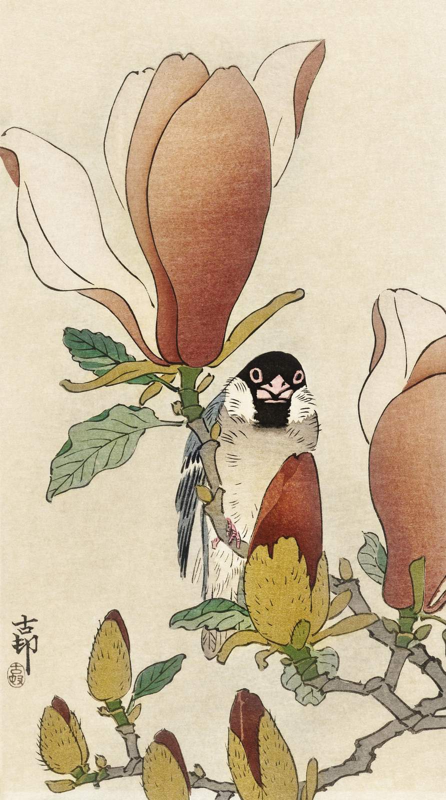 Bird on Magnolia Branch Japanese Art Wall Art