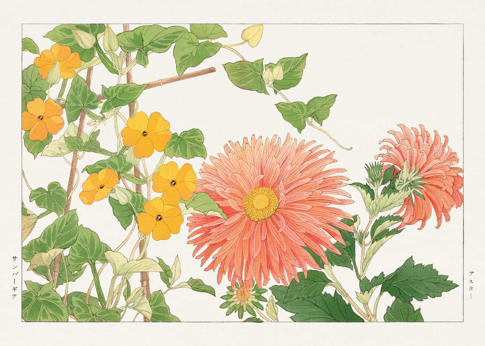 Vibrant Floral Japanese Chrysanthemum Wall Art