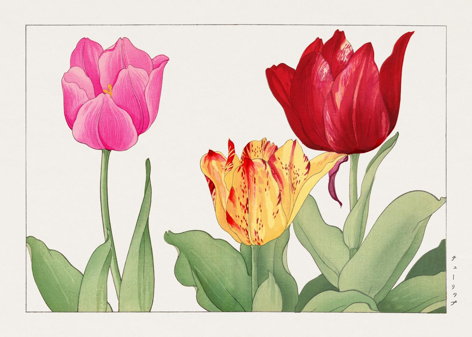 Vibrant Floral Tulip Wall Art Wall Art
