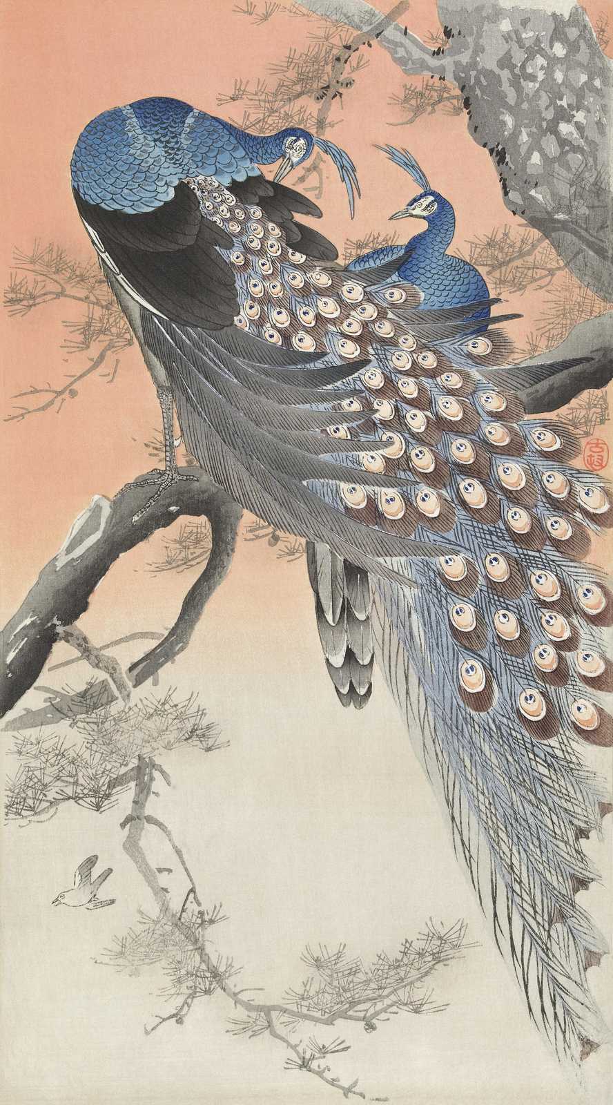 Exotic Peacocks & Pine Trees Wall Art