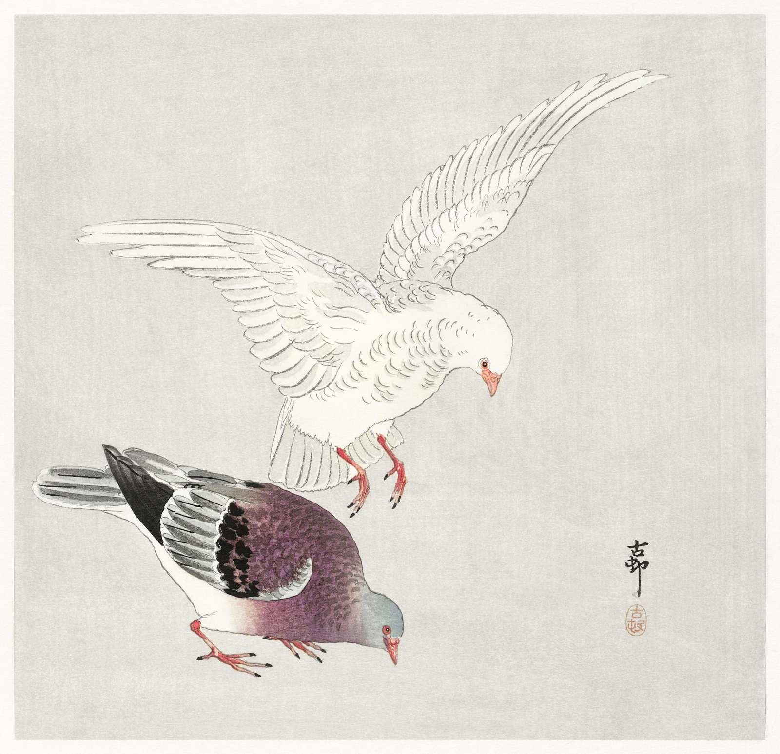 Serene Pigeons Landing Wall Art