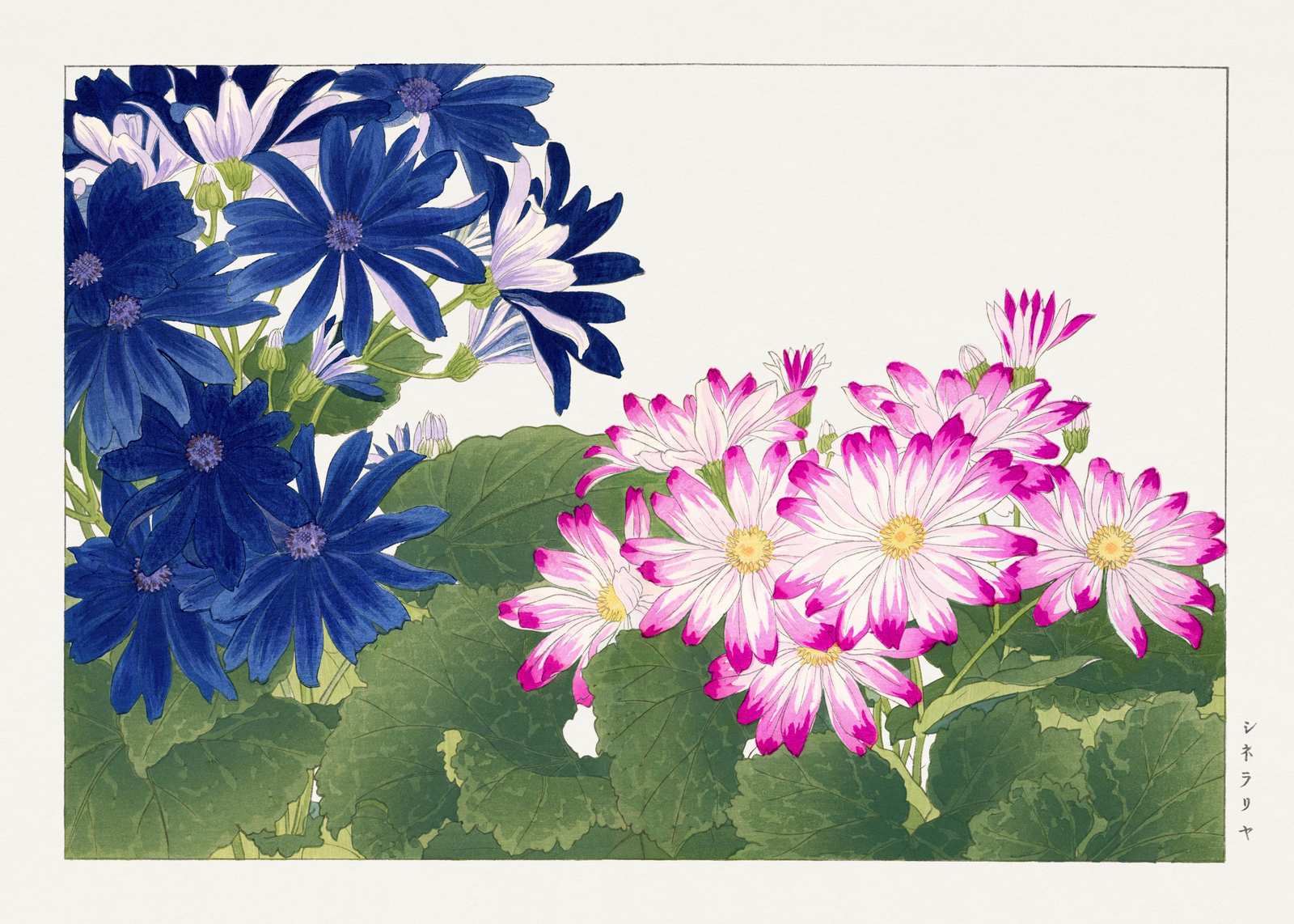 Vibrant Blue & Pink Floral Burst Wall Art