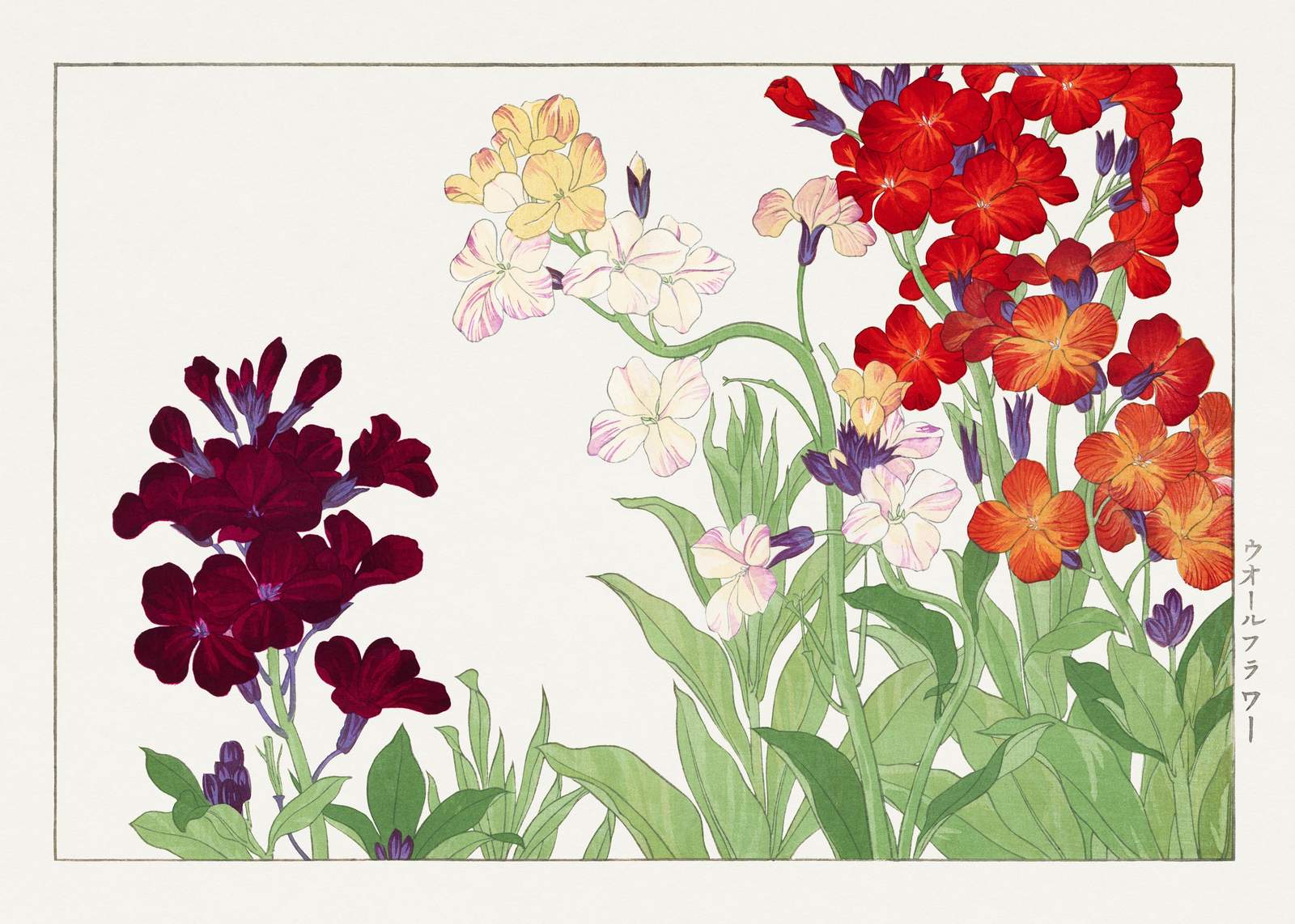 Vibrant Floral Wallflower Wall Art