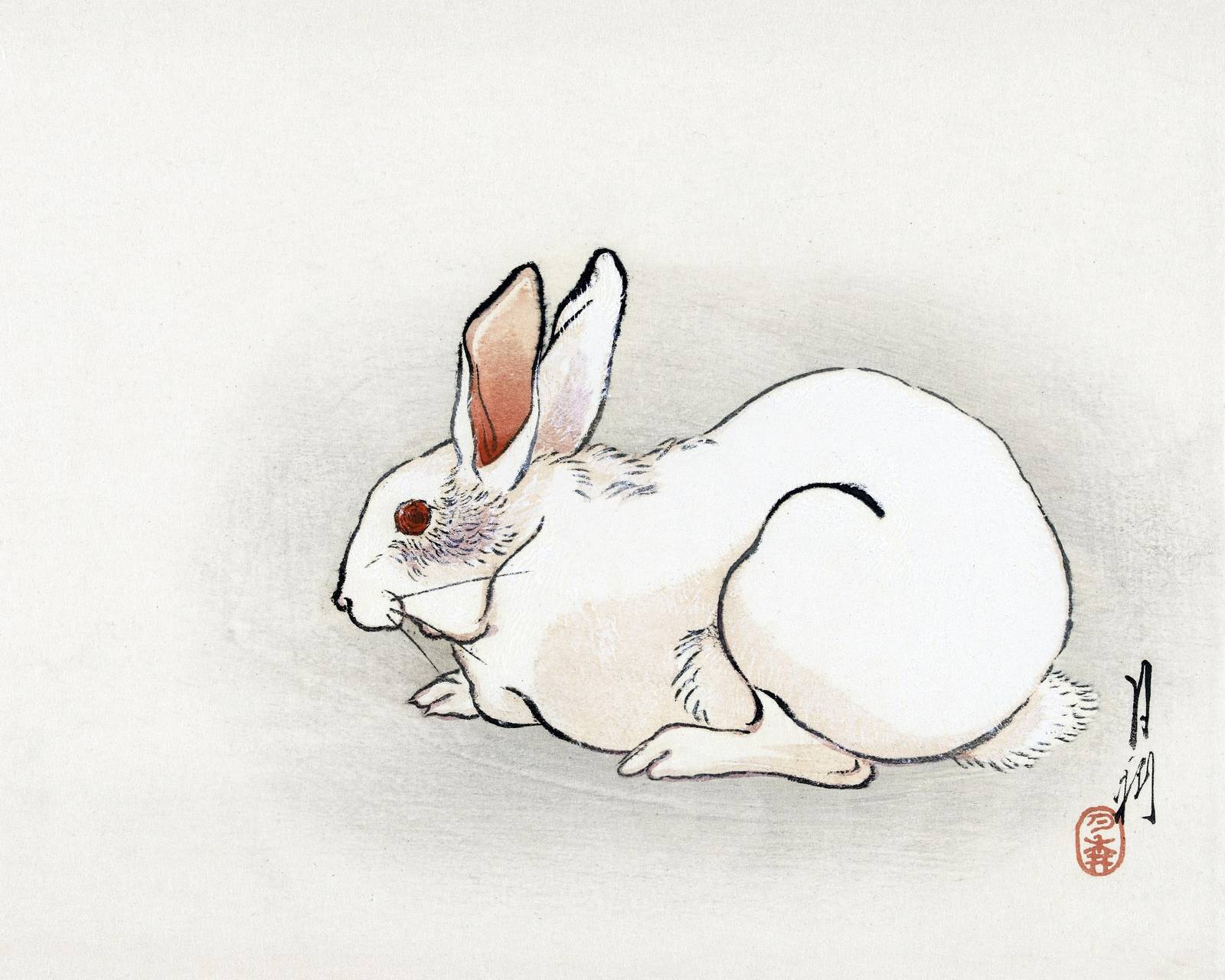 Serene White Rabbit Zen Art Wall Art