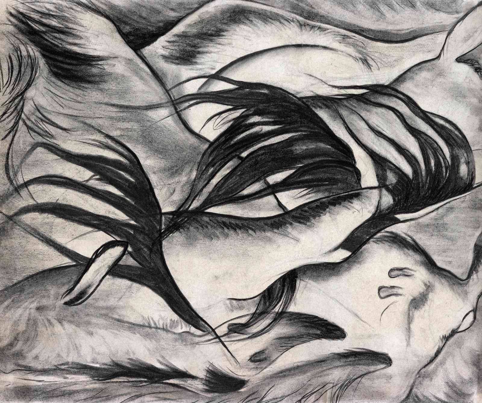 Expressive Charcoal Horse Mane Wall Art