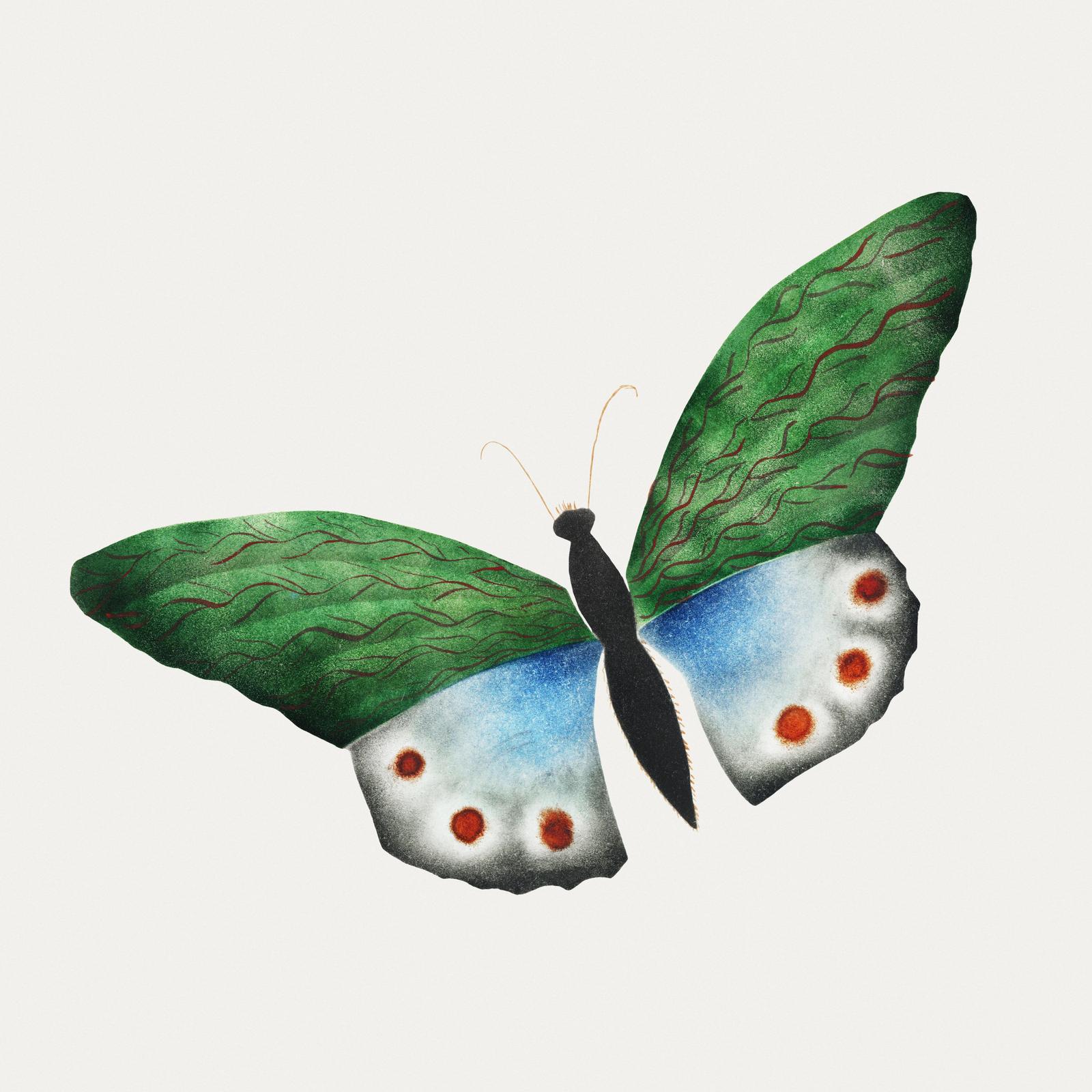 Emerald & Sapphire Butterfly Wall Art