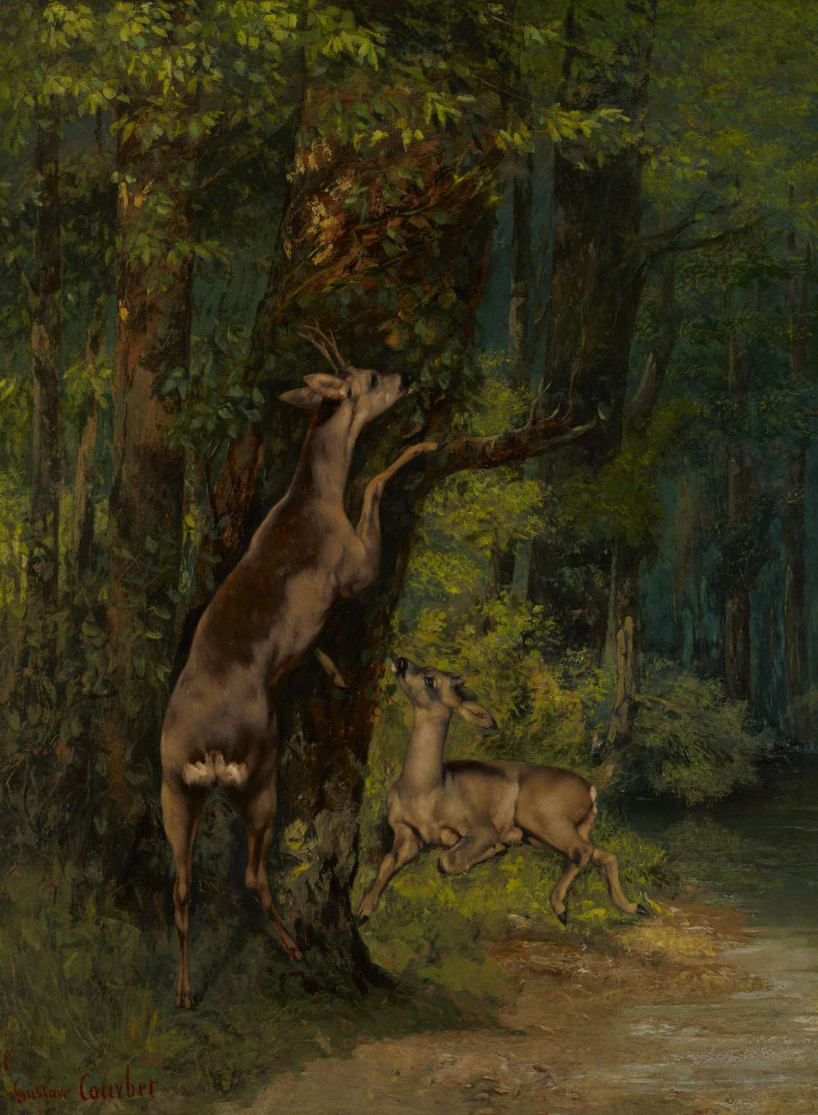 Forest Deer Nature Scene Wall Art