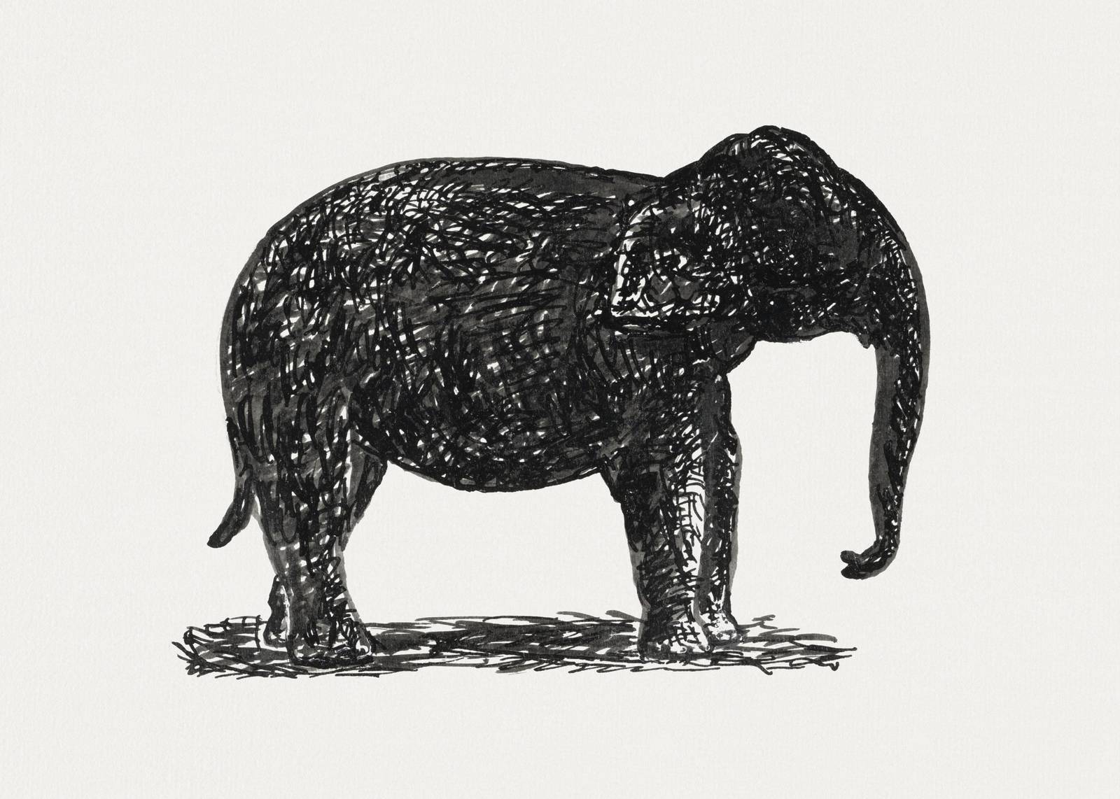 Abstract Elephant Sketch Wall Art Wall Art