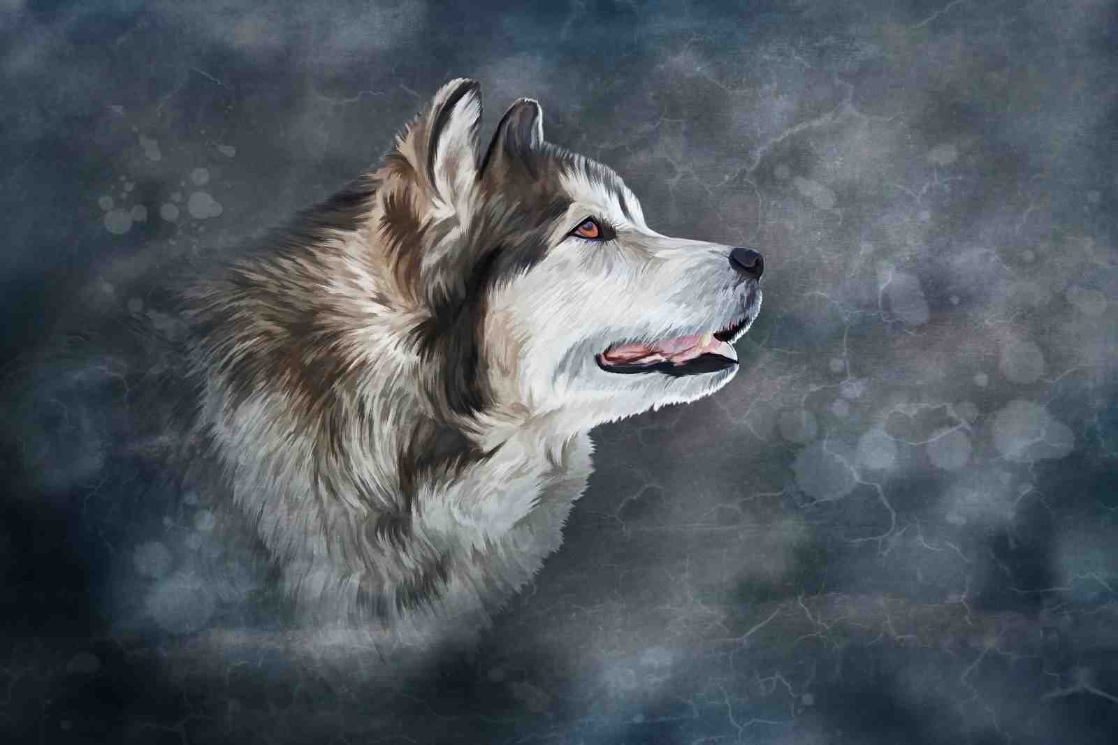 Majestic Wolf Portrait Wall Art
