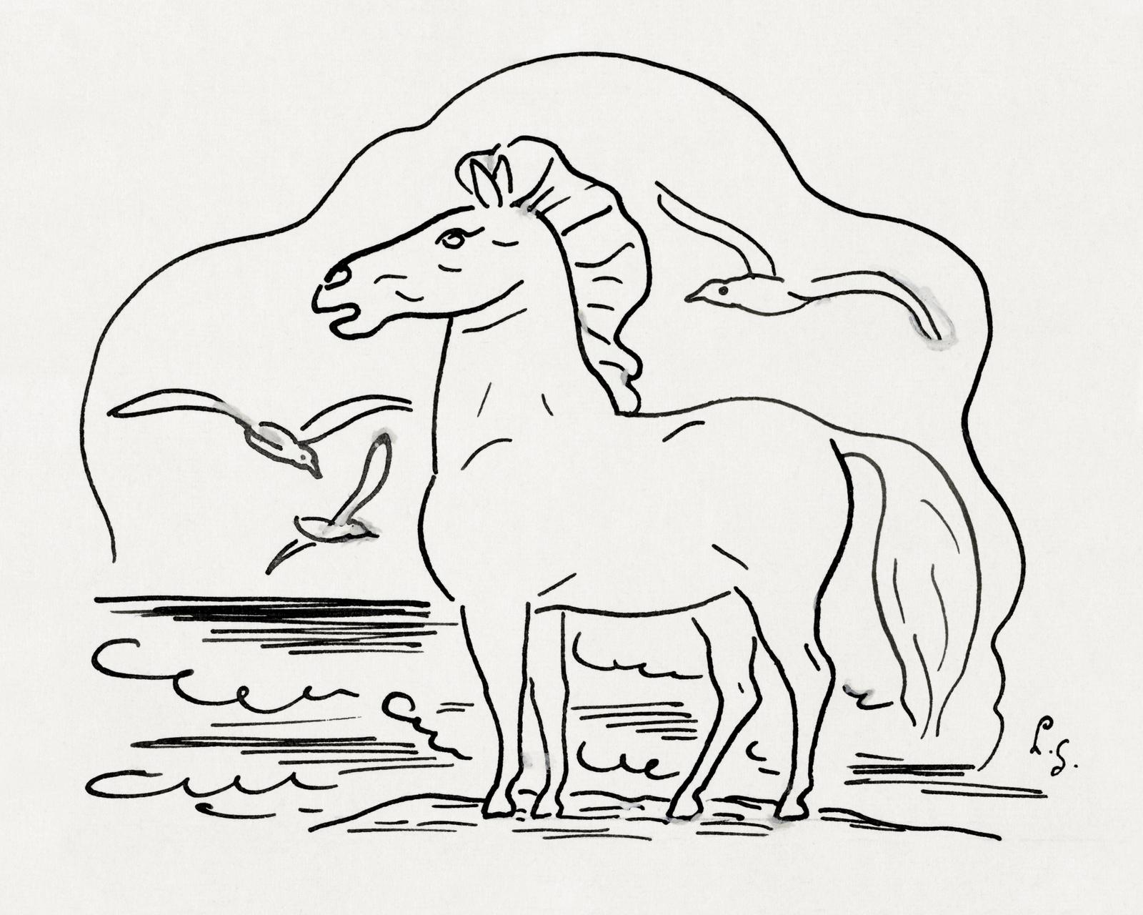 Graceful Horse & Birds Minimalist Line Art Wall Art