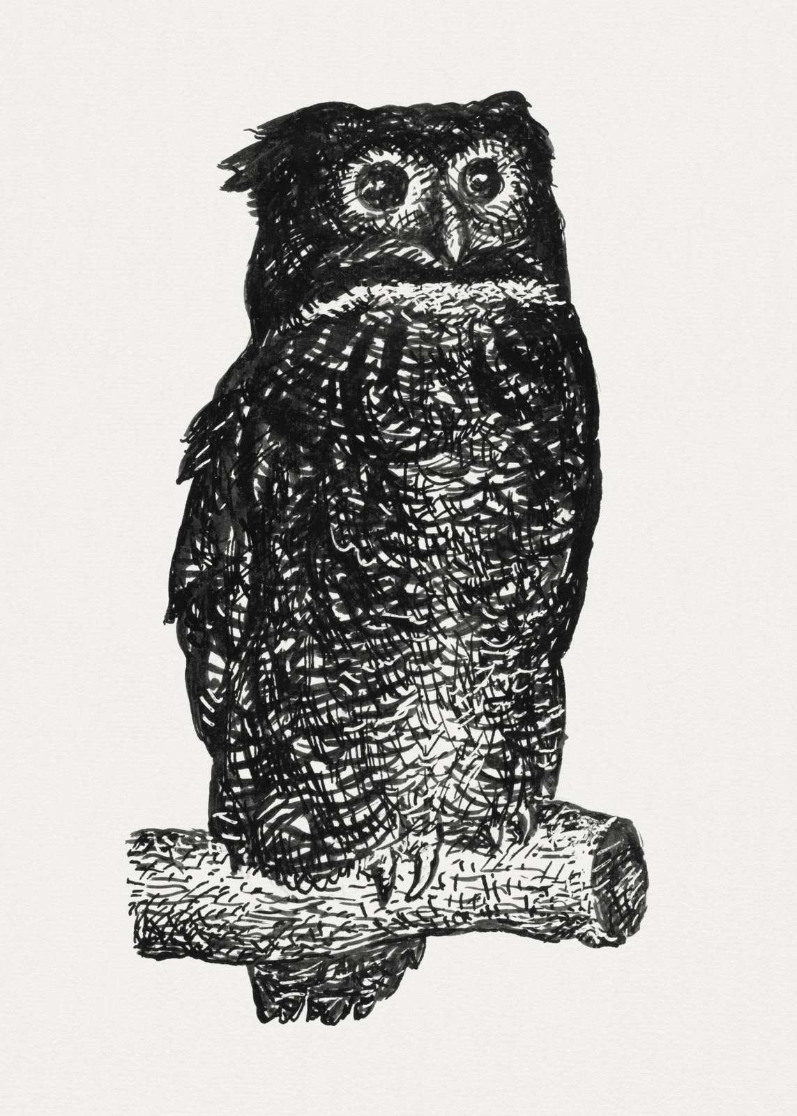 Majestic Owl Ink Drawing Wall Art