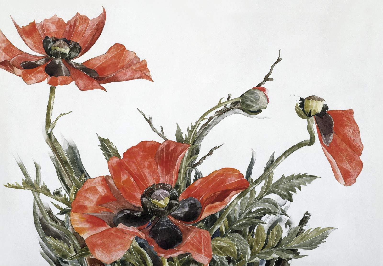 Vibrant Red Poppies Watercolor Wall Art