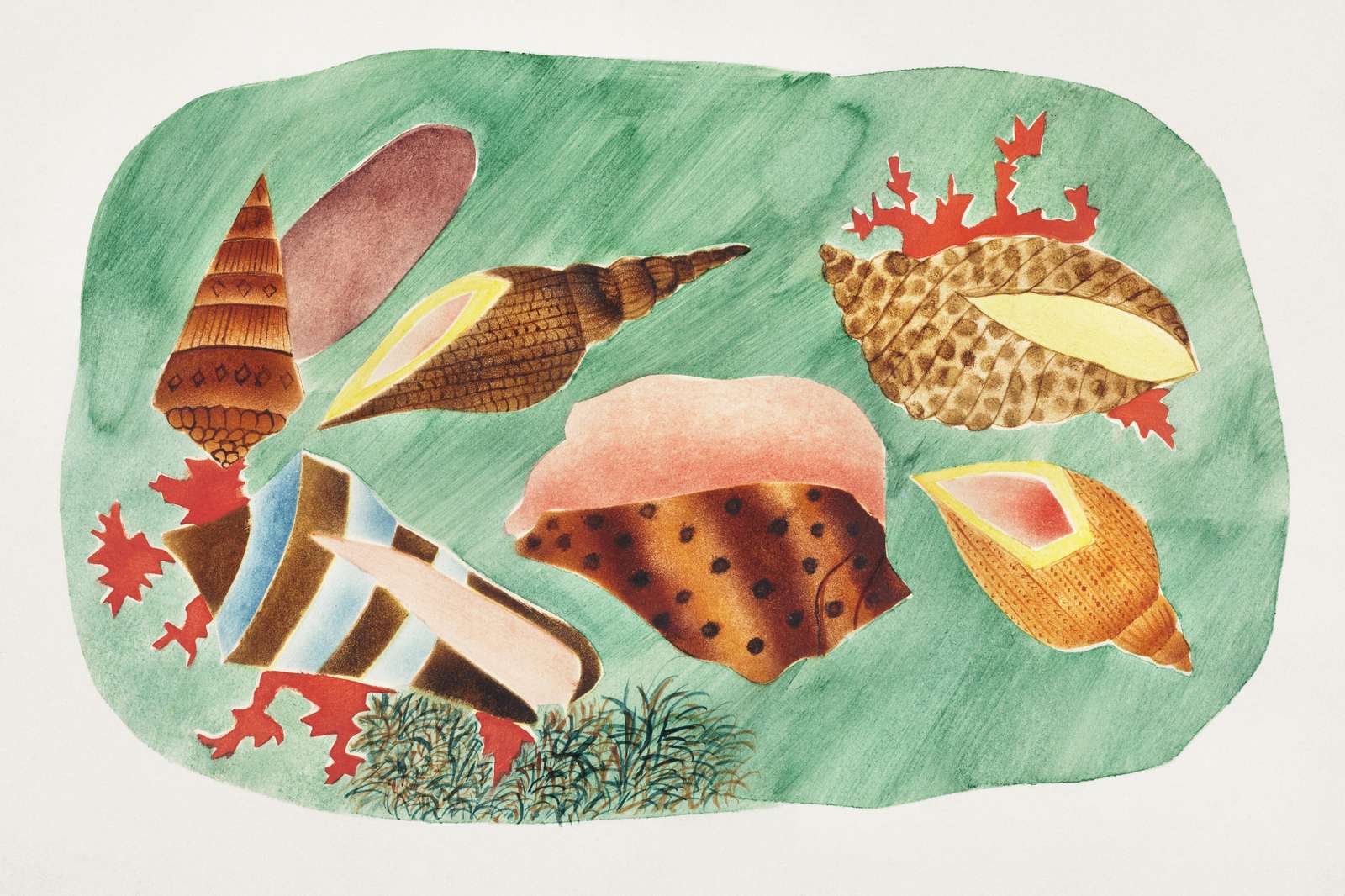 Nautical Seashell Arrangement Wall Art