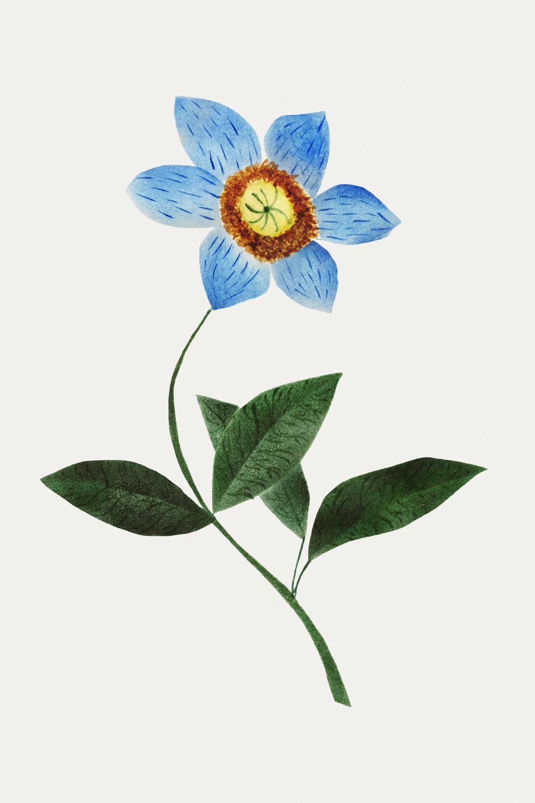 Serene Blue Floral Botanical Watercolor Wall Art