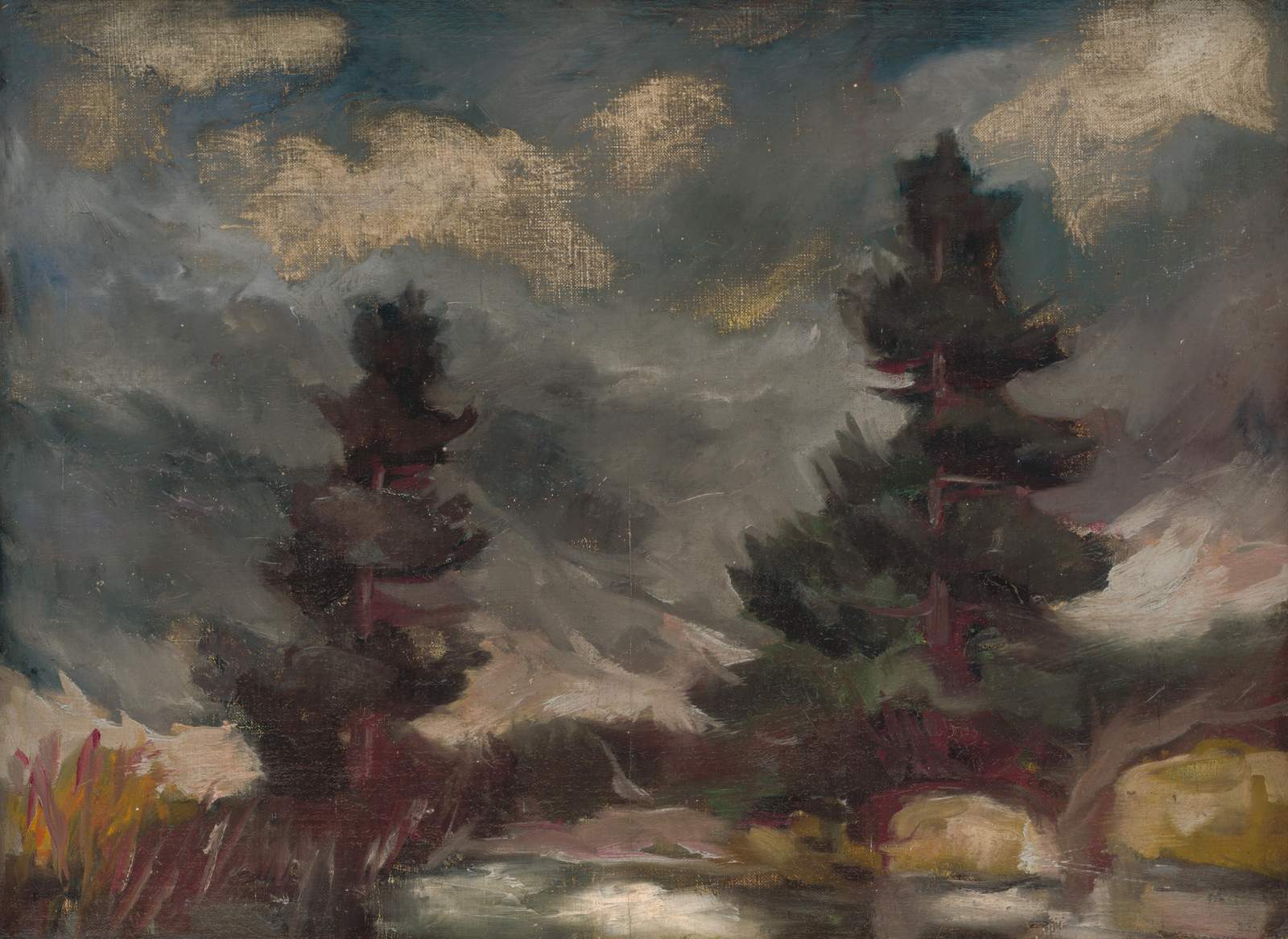 Moody Pine Forest Landscape Wall Art