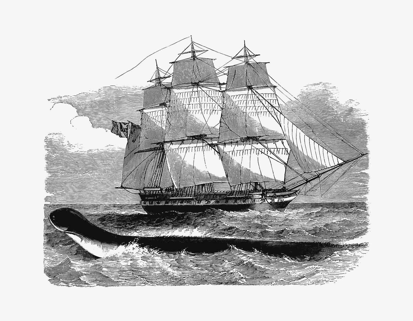 Vintage Whale & Ship Nautical Wall Art