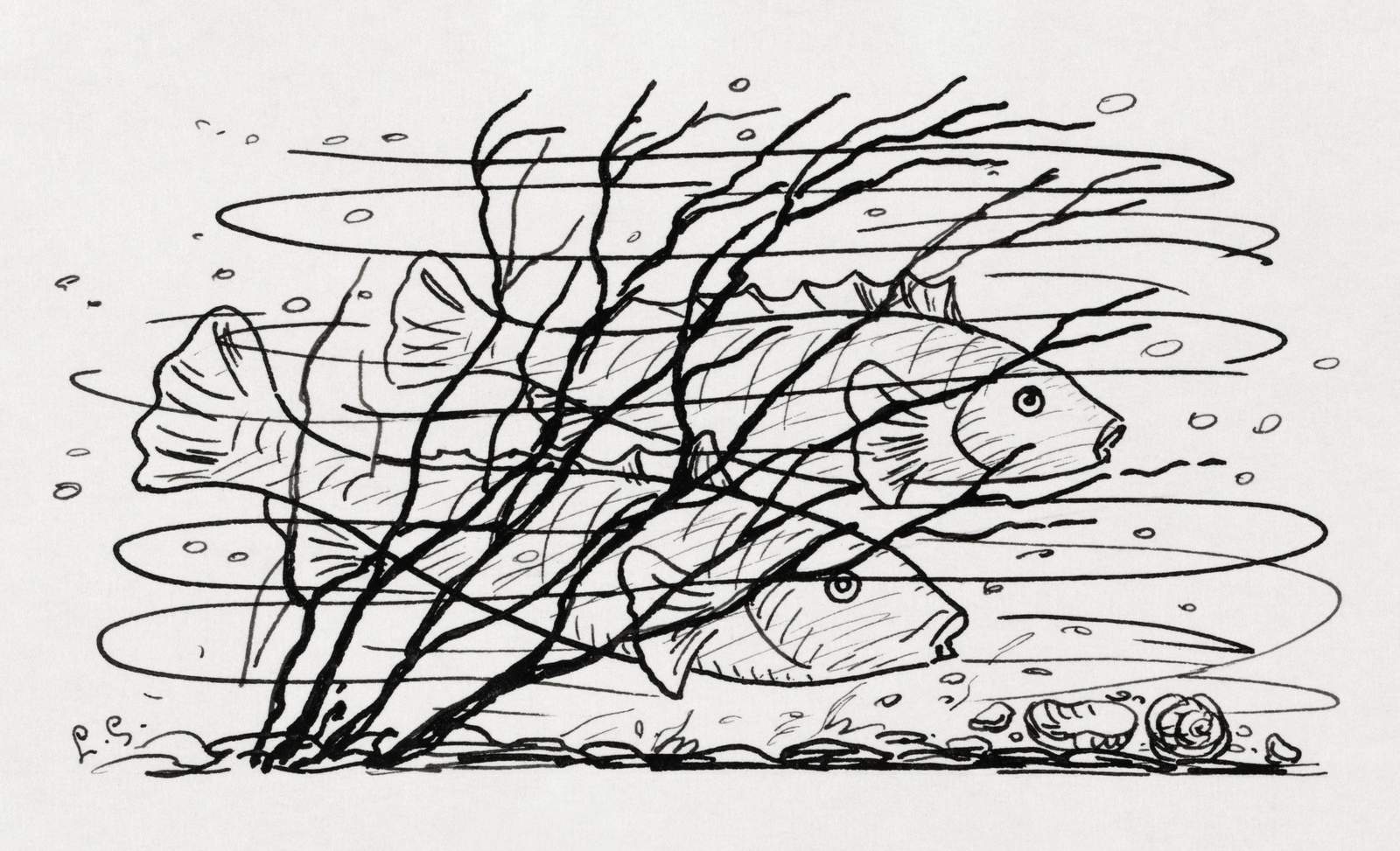 Serene School of Fish Sketch Wall Art