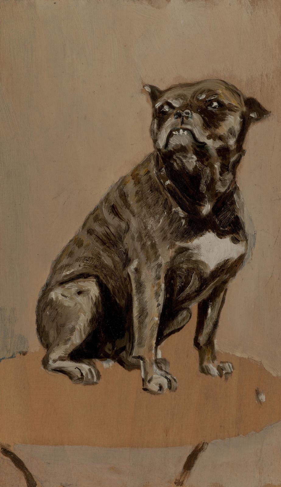 Charming Brindle French Bulldog Wall Art