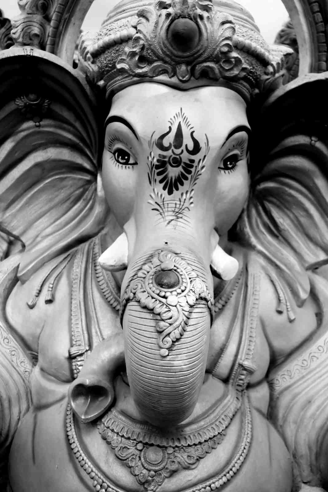 Majestic Ganesha Black & White Wall Art