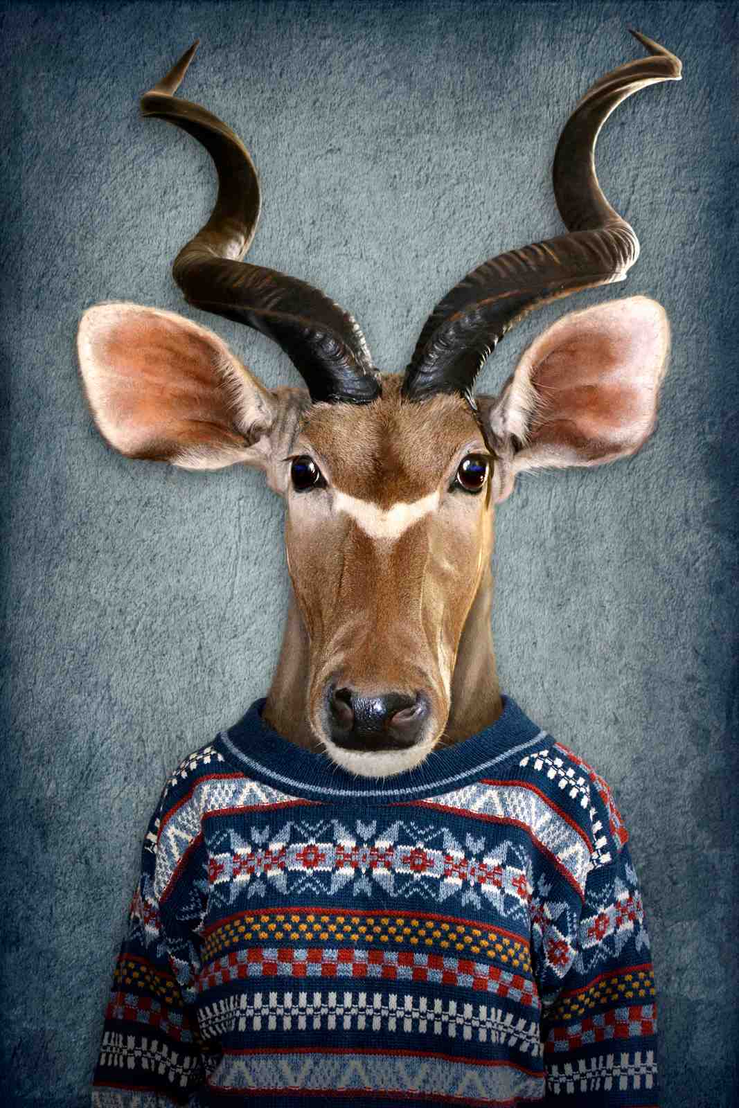 Chic Kudu Portrait Art Wall Art