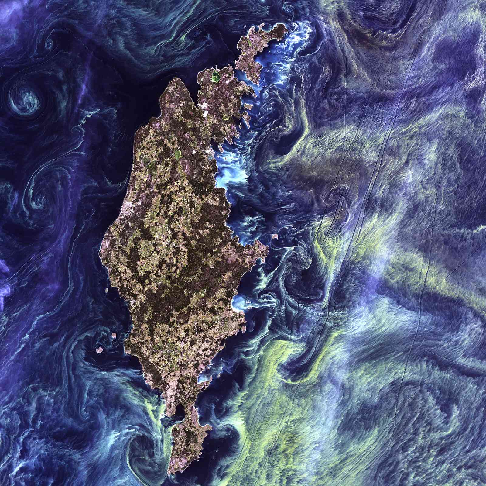 Ocean Currents Satellite Art Wall Art