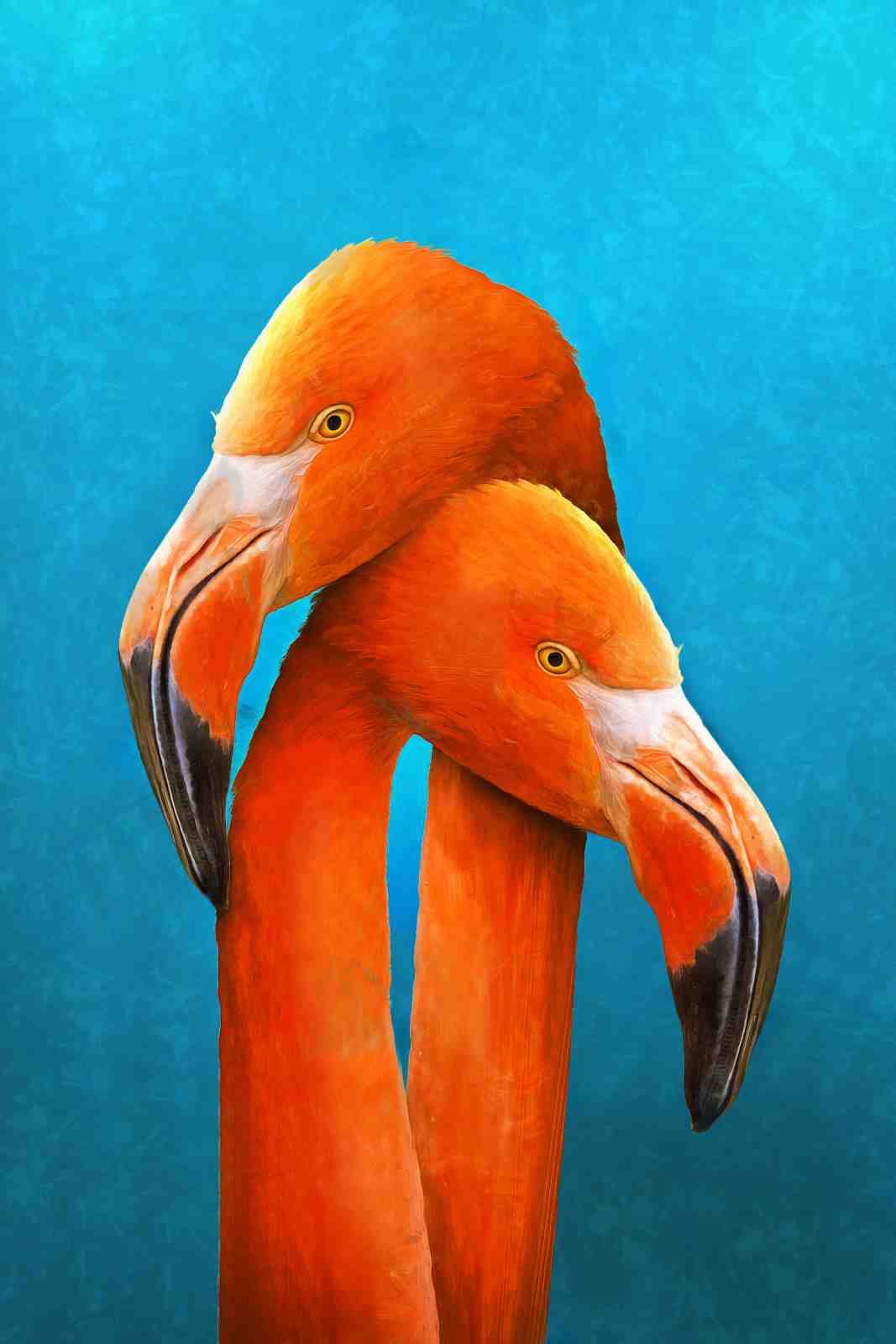 Vibrant Flamingo Duo Wall Art - Tropical Decor