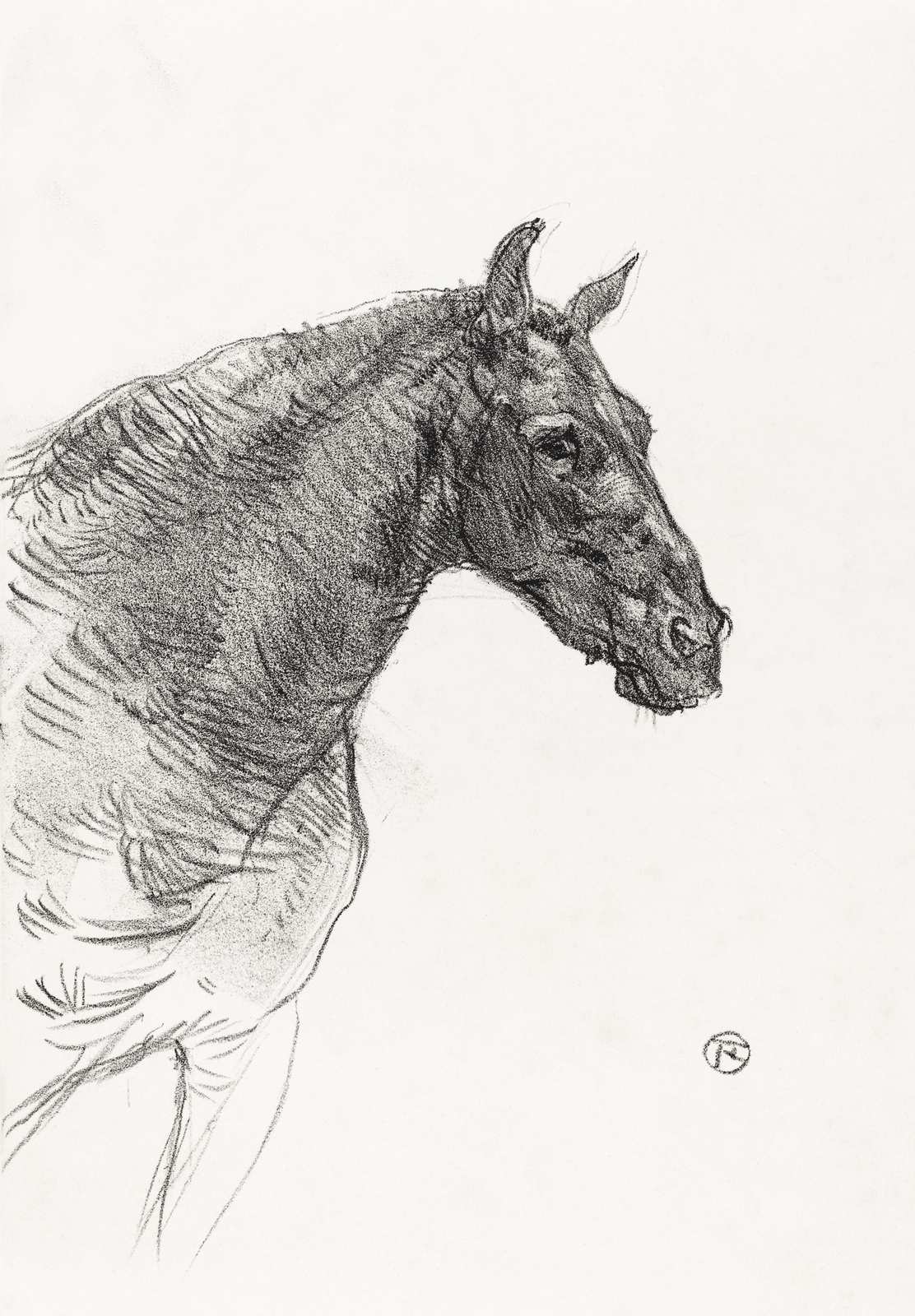 Majestic Horse Sketch Wall Art