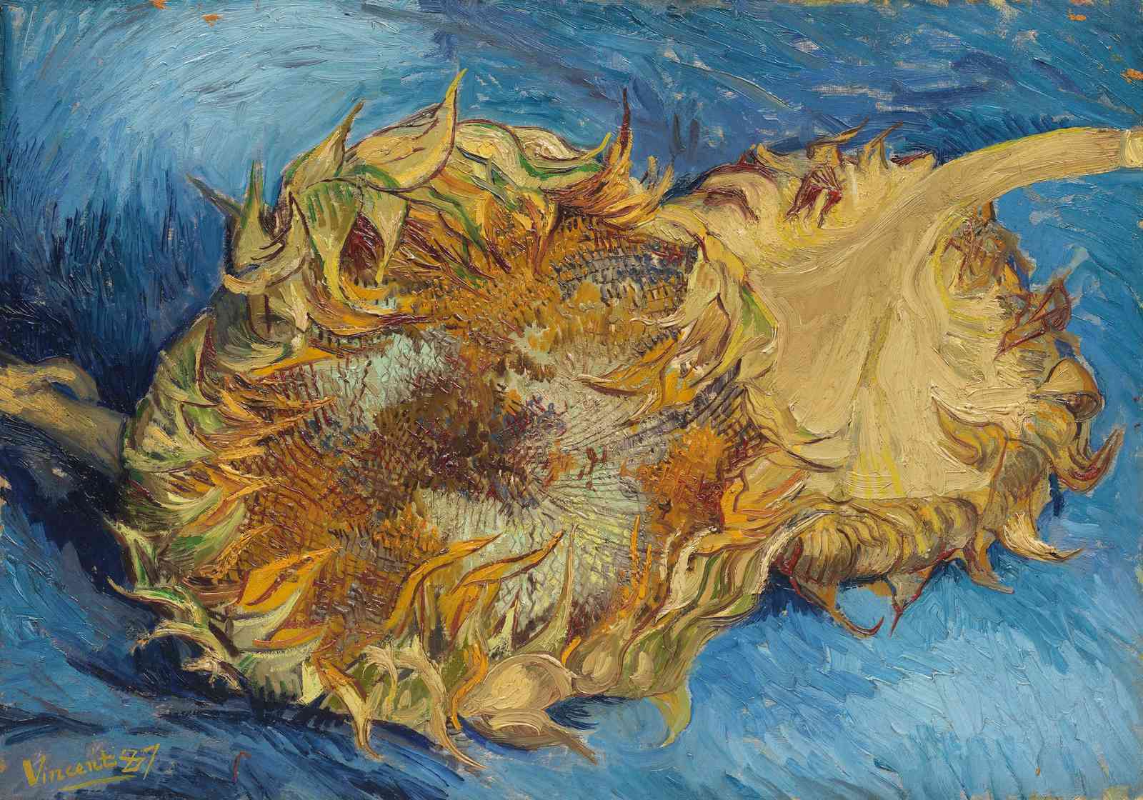 Van Gogh Sunflowers Vintage Wall Art Wall Art