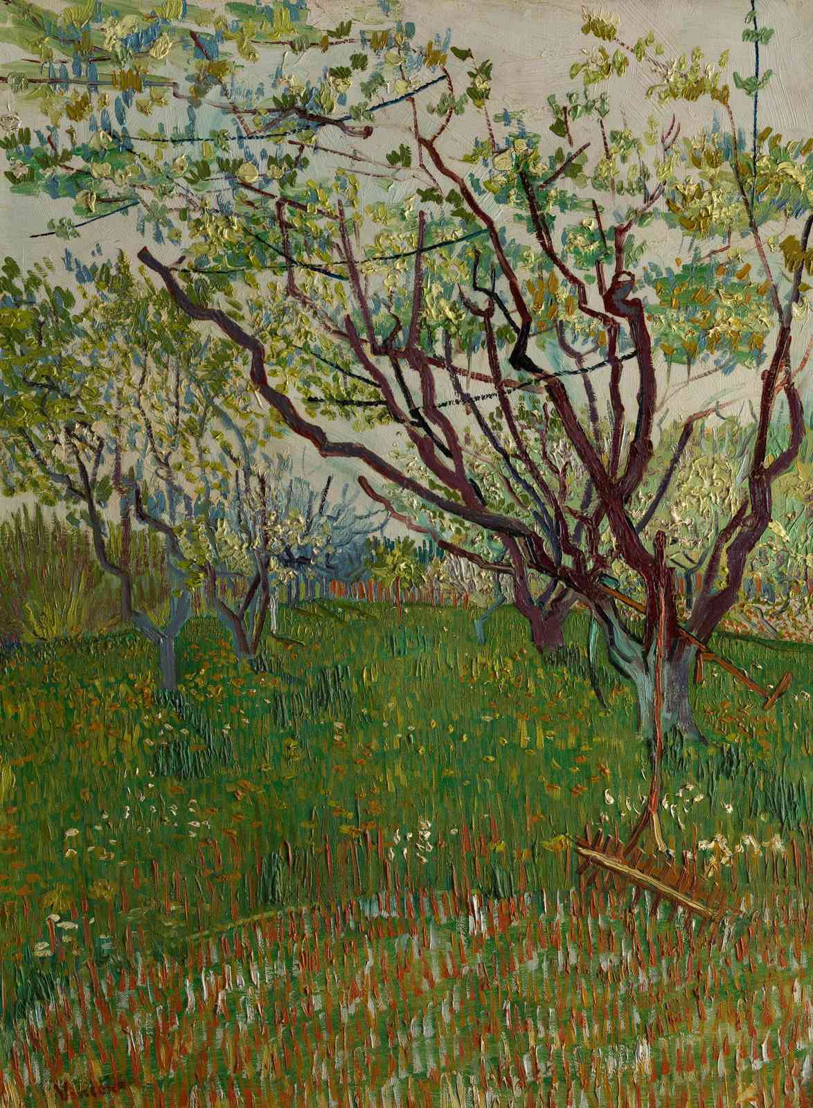 Vibrant Orchard View Van Gogh Style Wall Art