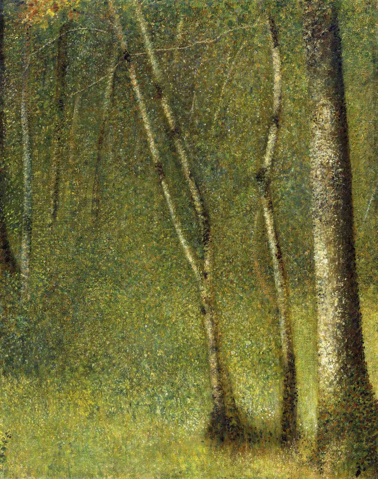 Enchanting Forest Sunlight Wall Art