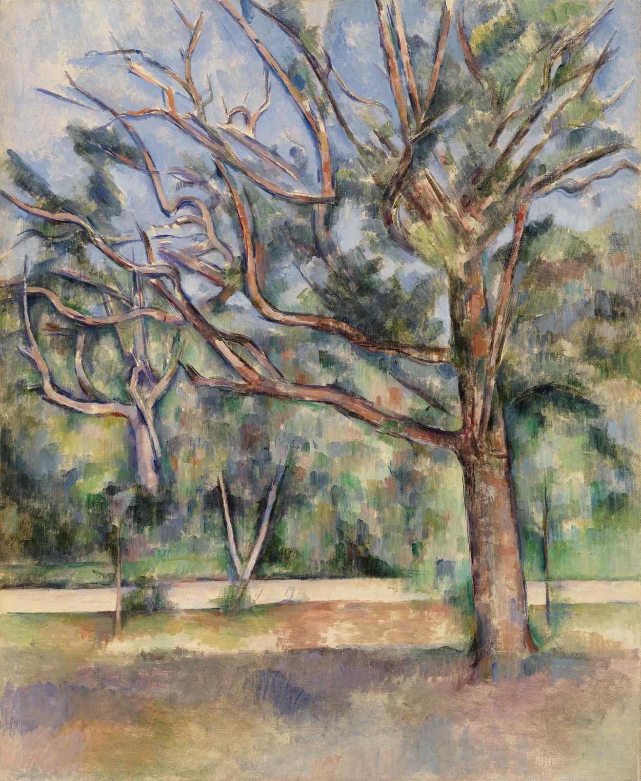 Impressionist Tree Study Wall Art | Landscape Art