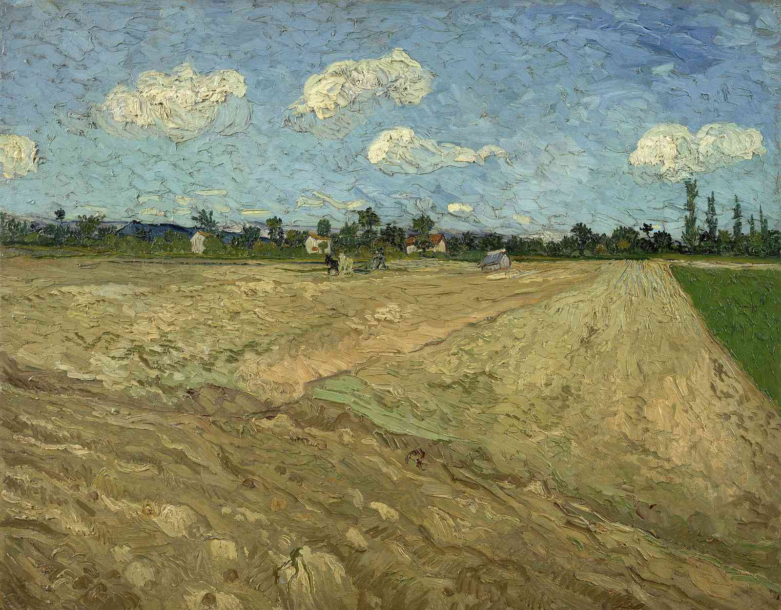 Van Gogh Plowed Field Wall Art