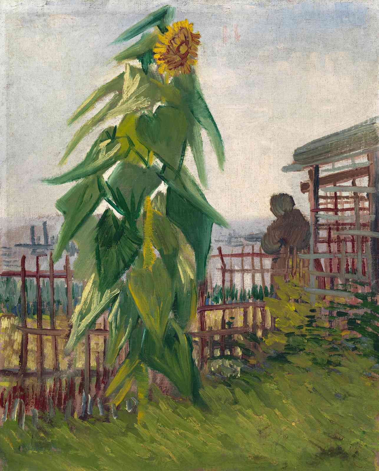 Vibrant Sunflower Garden Impressionist Wall Art